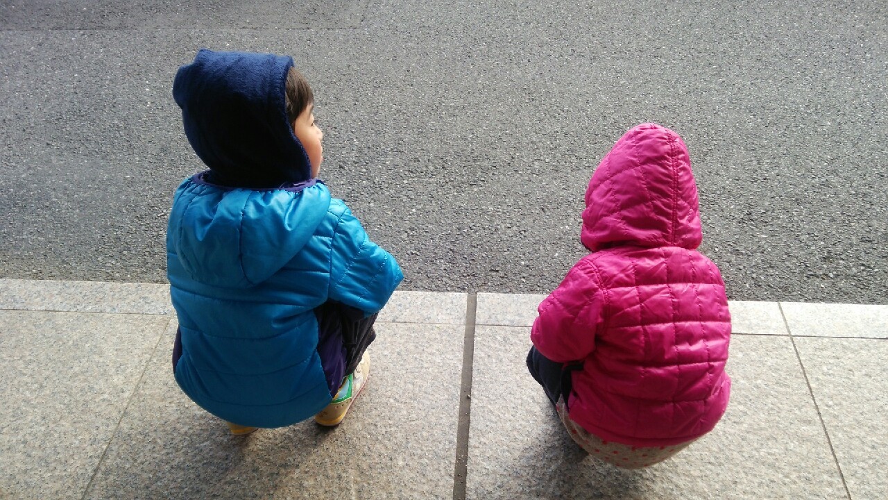 �_��n��ی�i��,�q�ǂ�,���S���S,�q���,��������