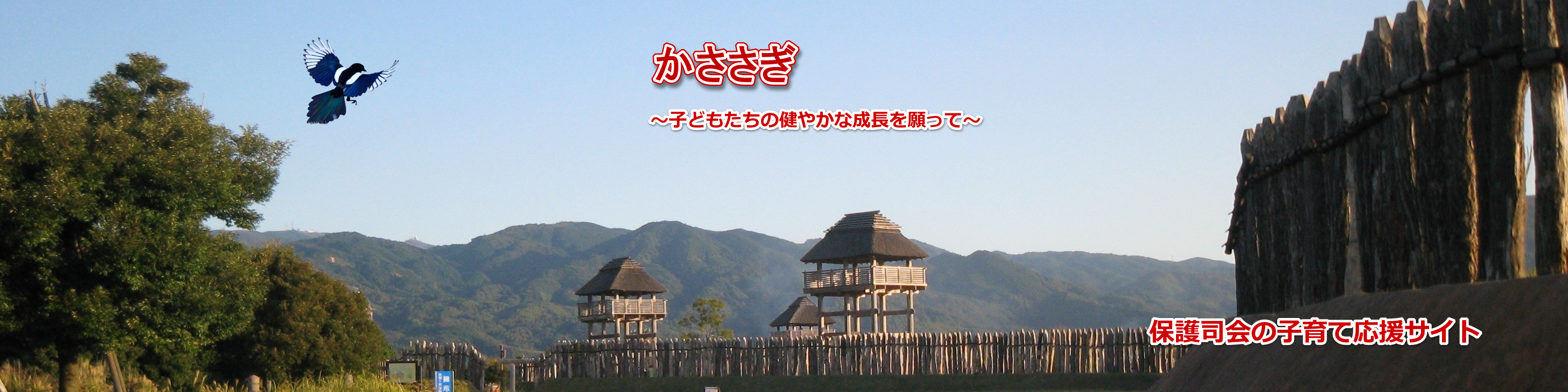 �_��n��ی�i��